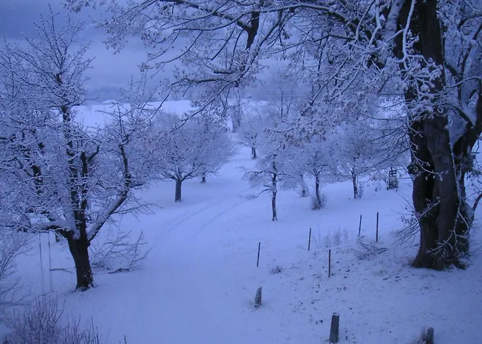 Appartement Haus Noains Rodels